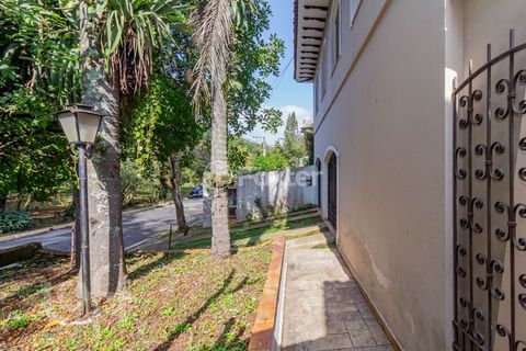 Image 17 - 876627