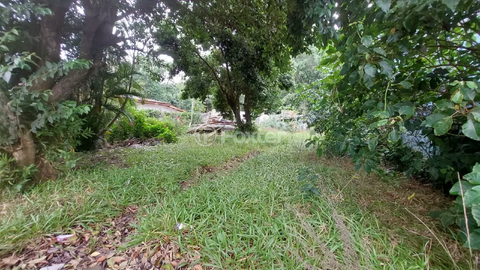Image 1 - 876635