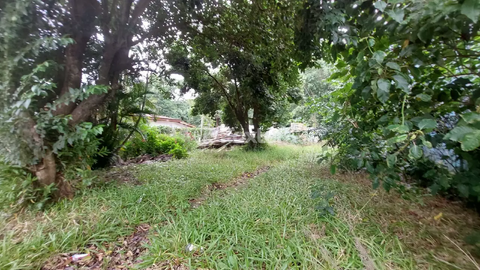 Image 2 - 876635