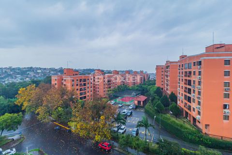 Image 13 - 876692