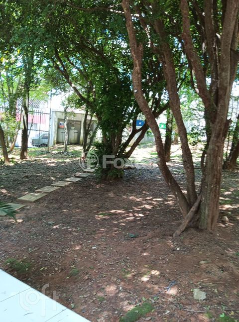 Image 7 - 876723