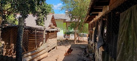 Image 13 - 876811