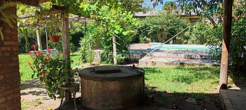 Image 3 - 876811