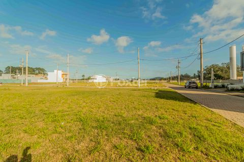 Image 8 - 876821
