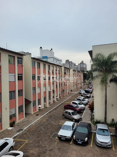 Image 4 - 876884