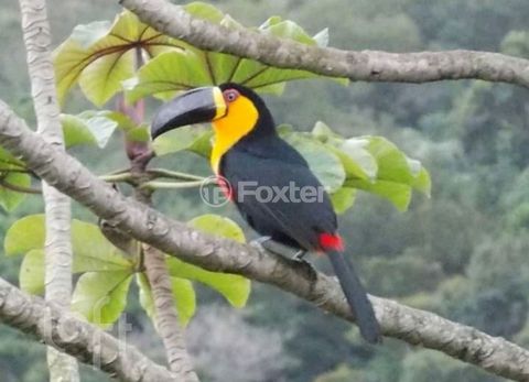 Image 8 - 876944