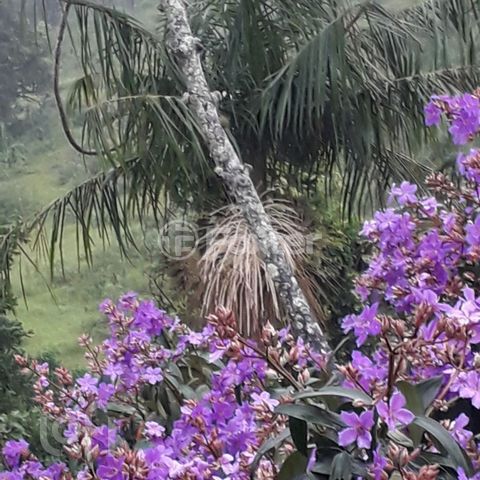 Image 11 - 876944