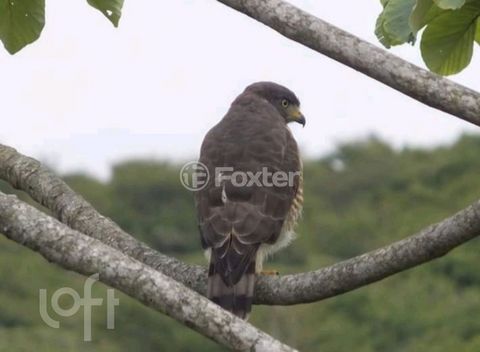 Image 9 - 876944