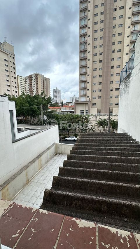 Image 14 - 877075