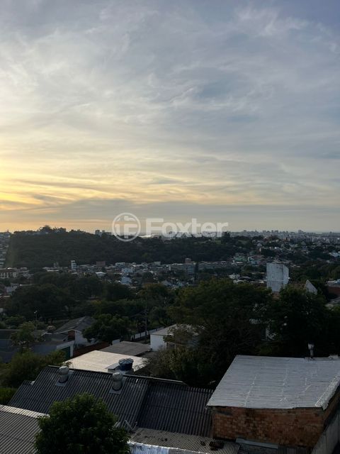 Image 6 - 877236
