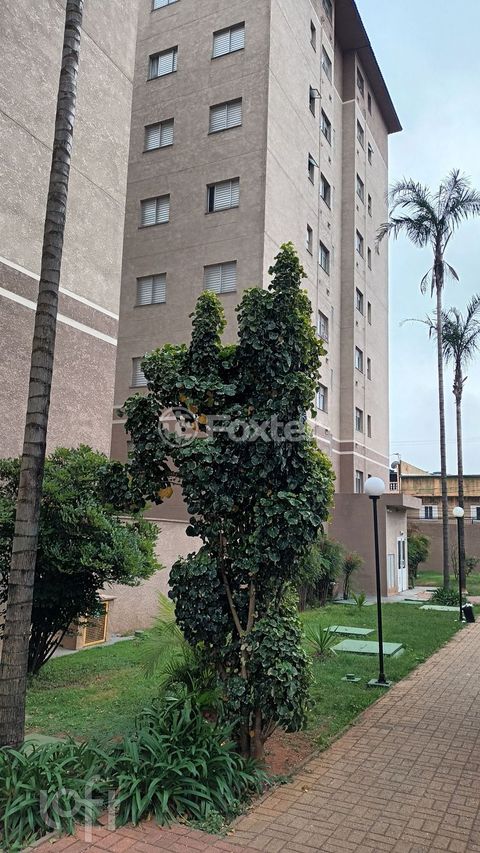 Image 15 - 877349