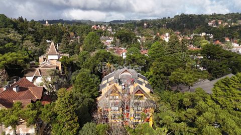 Image 14 - 877467