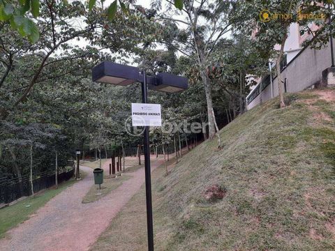 Image 8 - 877516
