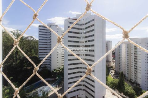 Image 19 - 877522