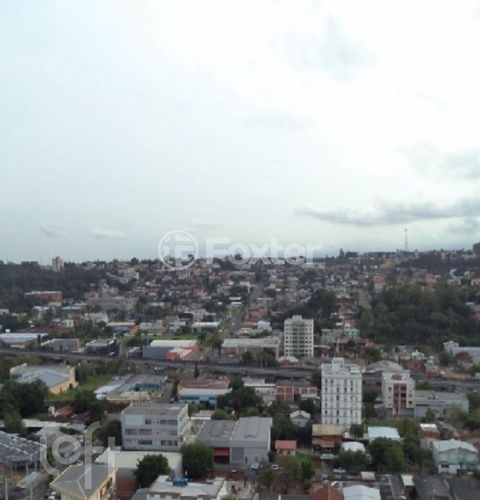 Image 6 - 877536