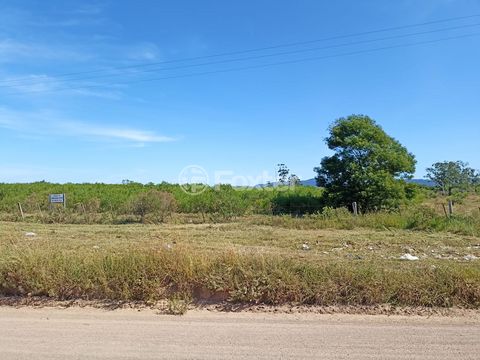 Image 8 - 877560