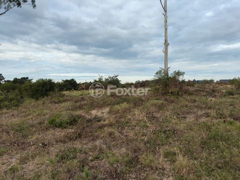 Image 7 - 877560