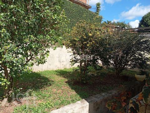 Image 17 - 877568
