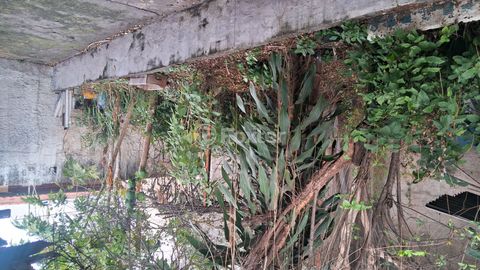 Image 5 - 877747