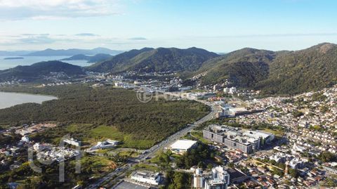 Image 10 - 877864