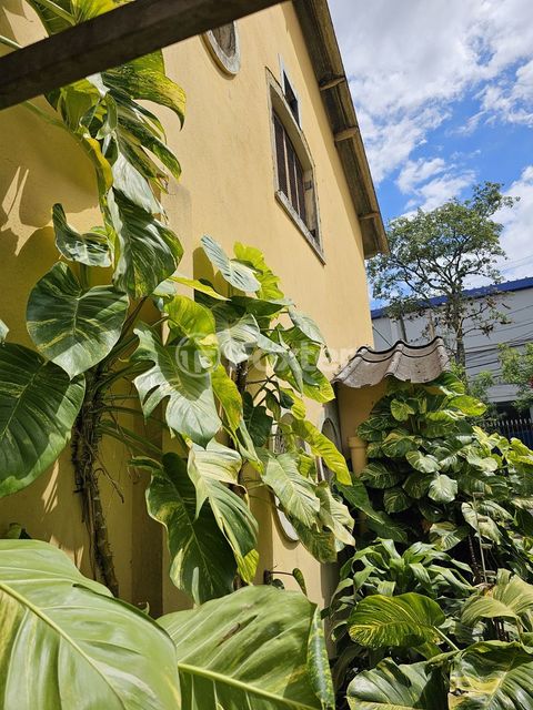Image 8 - 877878