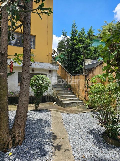 Image 6 - 877878