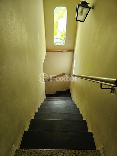 Image 7 - 877878