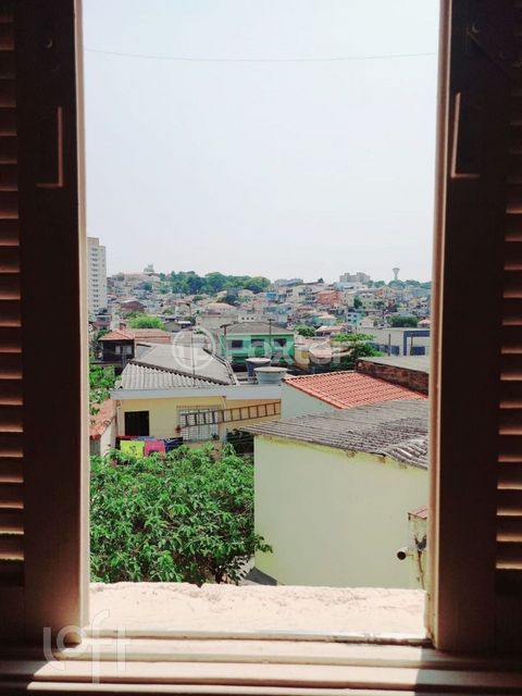 Image 19 - 878049