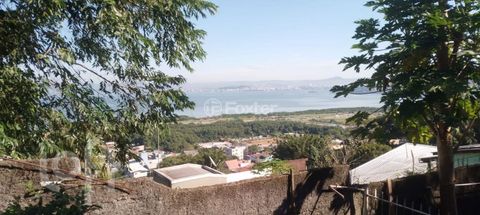 Image 4 - 878105