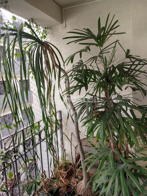 Image 7 - 878281