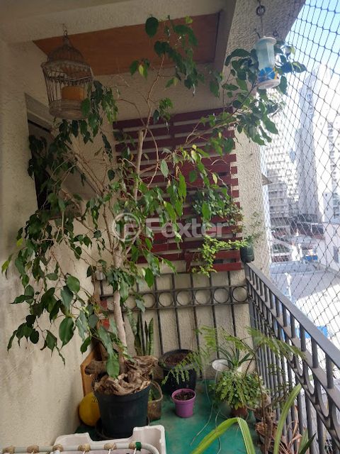 Image 8 - 878281