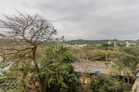 Image 4 - 878898