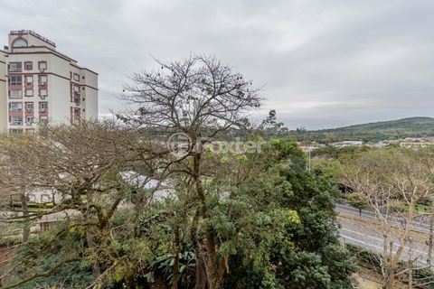 Image 9 - 878898