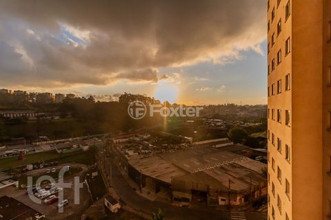 Image 8 - 879181