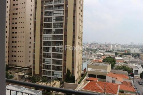 Image 8 - 879866