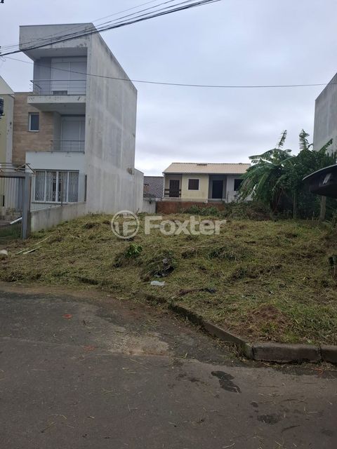 Image 6 - 879987