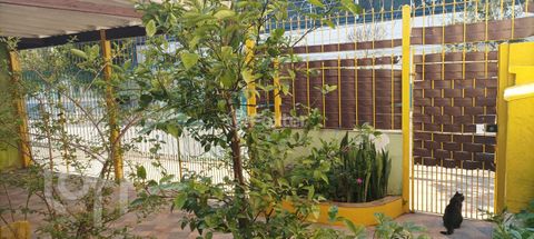 Image 15 - 880088