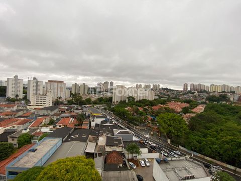 Image 2 - 880226