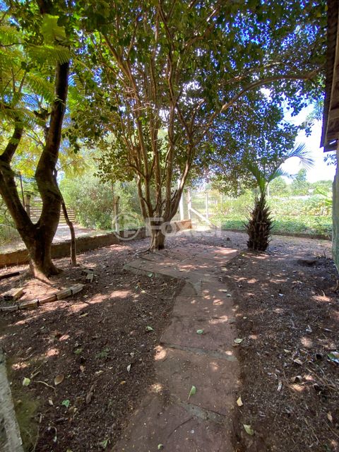Image 11 - 880658