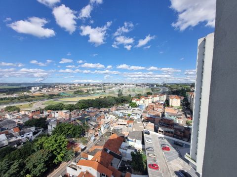 Image 8 - 880818
