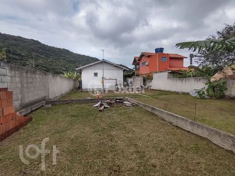 Image 8 - 880881