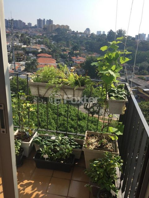 Image 9 - 881222