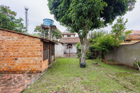 Image 16 - 881337