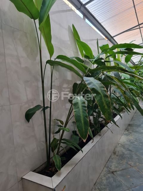 Image 2 - 881339