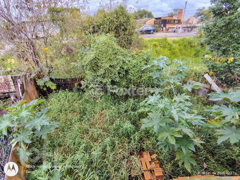 Image 4 - 881358