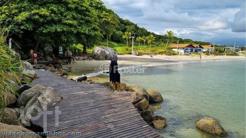 Image 17 - 881378