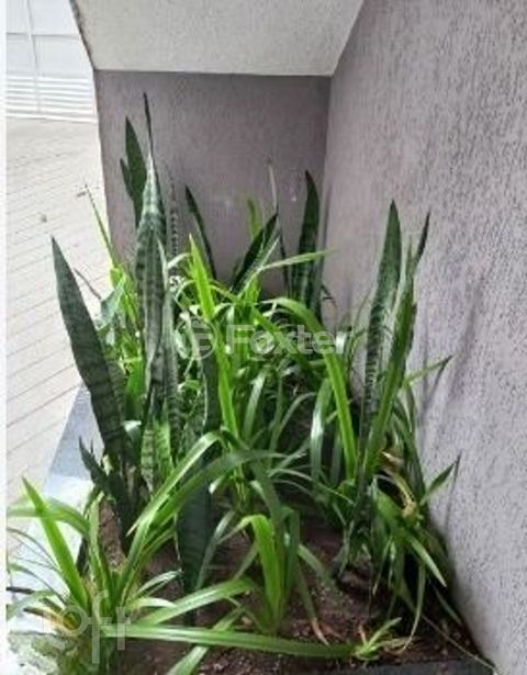 Image 8 - 881382