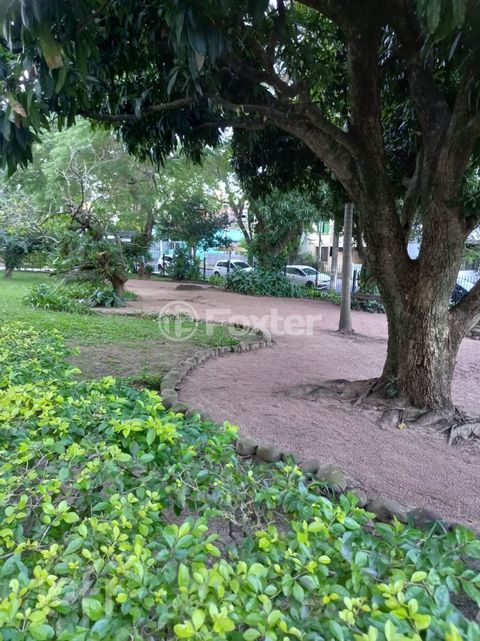 Image 6 - 881388