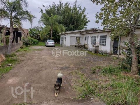 Image 4 - 881451