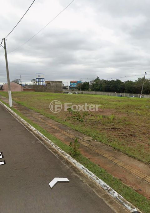 Image 8 - 881502